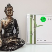 Riley Lee - Calm